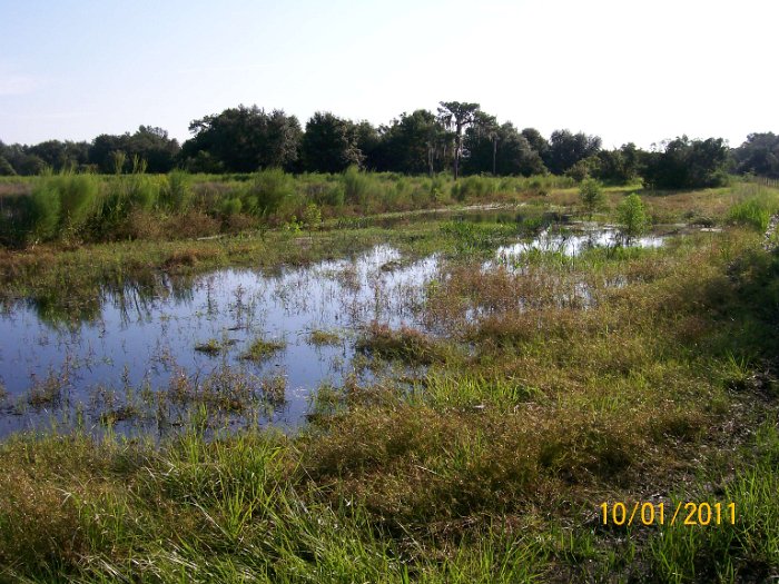 2011-Oct-01 HGR4X4 Cookout P1 007